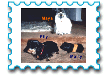 Marty, Elly & Maya