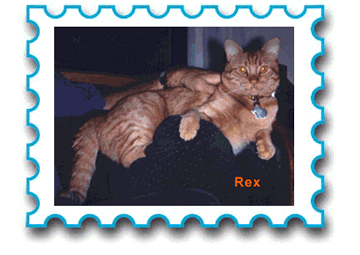 Rex