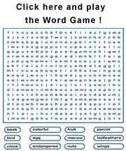 Word Game