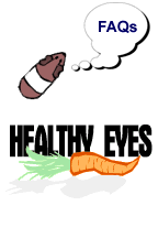Guinea Pig Health