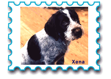 Xena